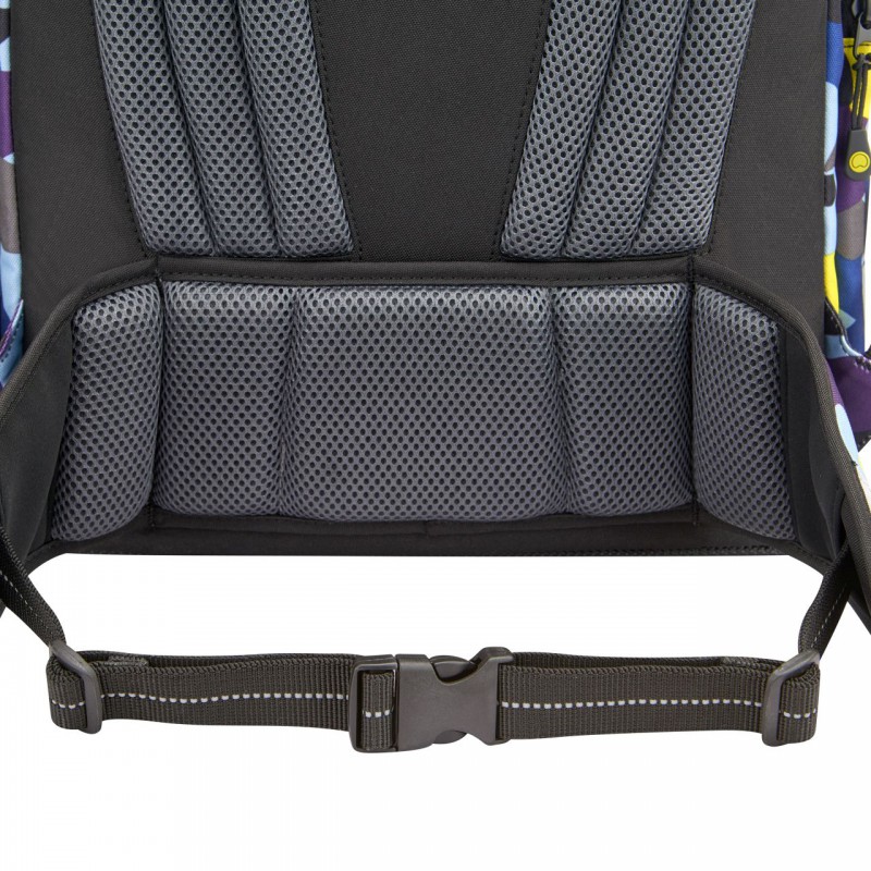 DELSEY seljakott School Ergo+ M 3391626 (5)