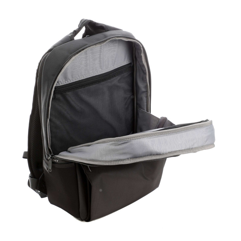 DELSEY seljakott Laumiere 2CP 2193600 (4)
