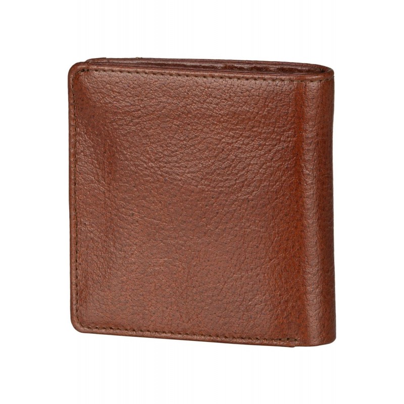 PICARD Buddy1 5371 (1)
